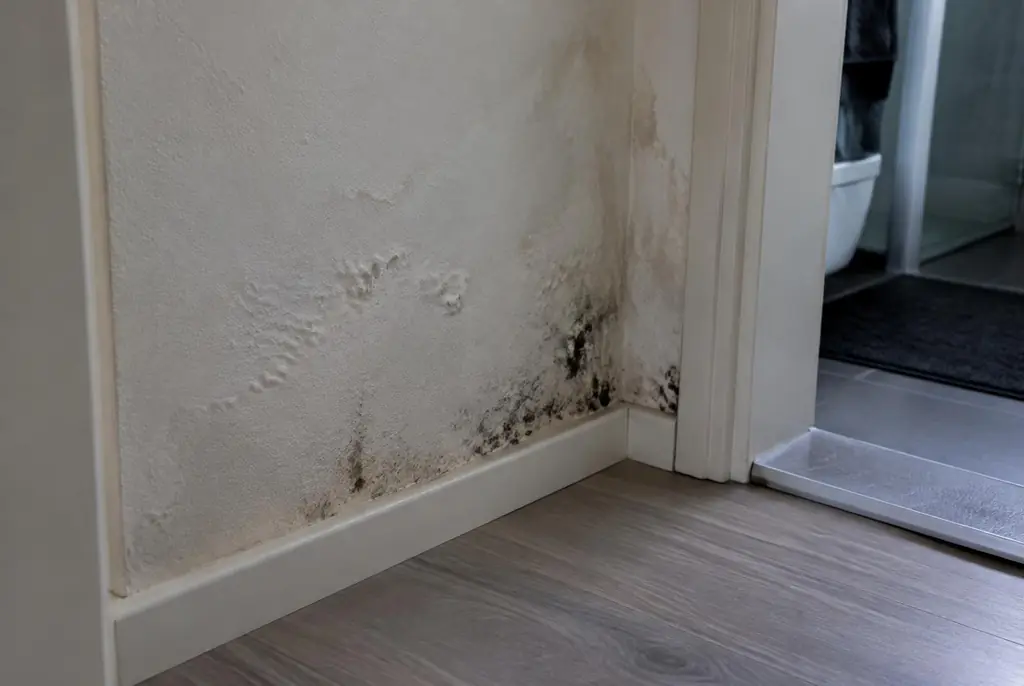 Lekdetectie Oegstgeest – vochtplek met schimmel op een muur